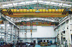 Double Girder Hoist Crane