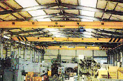 Single Girder Hoist Crane