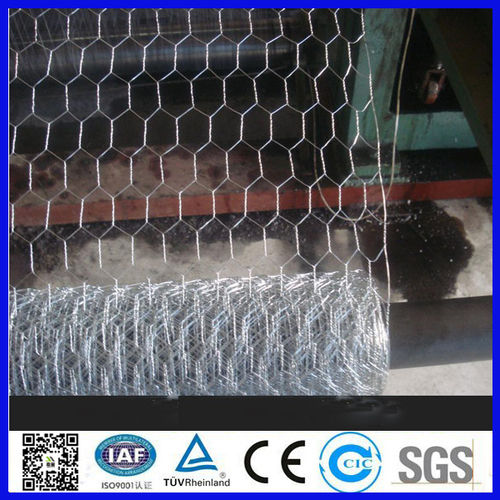 Anping Hexagonal Bird Cage Steel Chicken Wire Netting