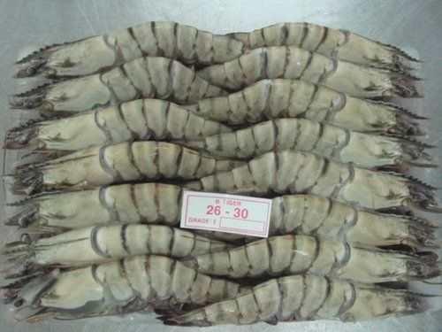 Frozen Shrimp