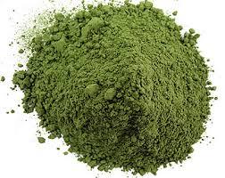 Organic Wheat Grass Powder