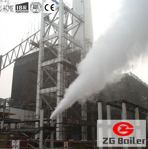 Rice Husk Fired Steam Boiler