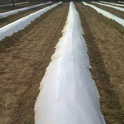 Silver Black Mulch Film