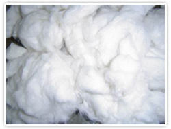 Cotton Comber Noil