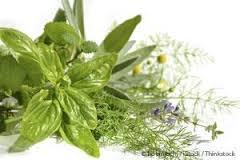 Medicinal Plant - Premium Quality Herbal Extract, Rich in Nutrients and Growth Guarantee