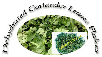 Dehydrated Coriander Leaves Flakes