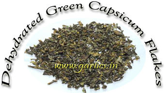 Dehydrated Green Capsicum Flakes