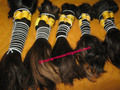 Single Drawn Remy Hair - Smooth Texture, Natural Shine , Skin-Friendly Quality