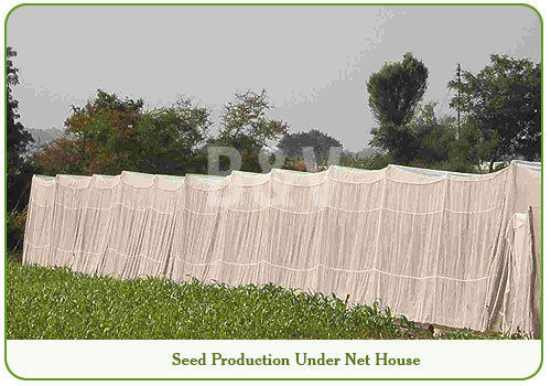 Agro Shed Net