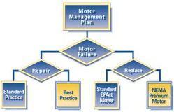 Motor Management Services