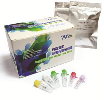 Listeria Monocytogenes Nucleic Acid Detection Kit