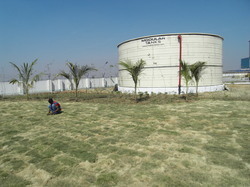 Rain Harvesting Water Tanks