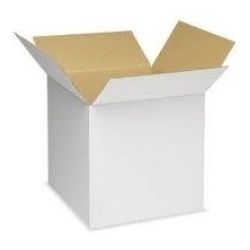 White Carton Box