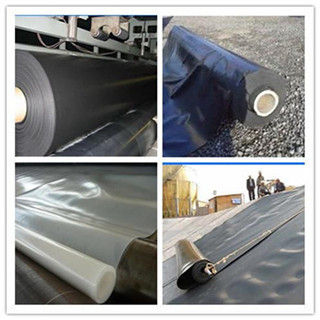 Pvc Geomembrane