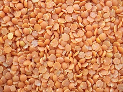 Red Split Lentils