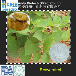 Resveratrol