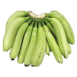 Cavendish Banana