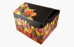 Color Corrugated Box