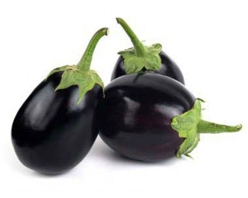 Brinjal - Fresh Quality Produce, Reliable Supply and Importing Services