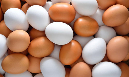 Fresh Chicken Eggs (White and Brown)