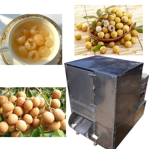 Longan Pitting Machine