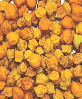 Chick Peas Black Gram