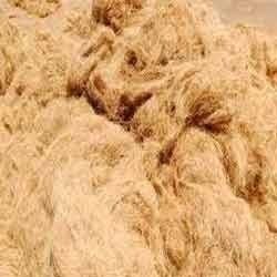 Coir Fibre