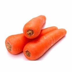 Fresh Carrot