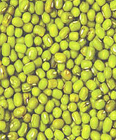 Green Moong Lentils