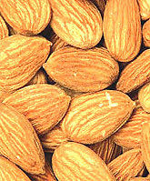 Almond Kernal