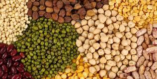 Indian Pulses