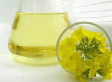 Refined Canola Oil