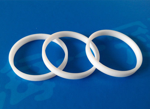 Guiding Ring Seals