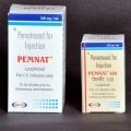 Pemnat 100 Mg (Pemetrexed) Injection