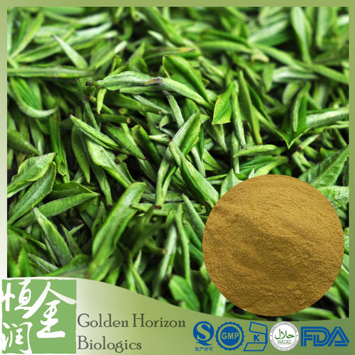 green tea extract