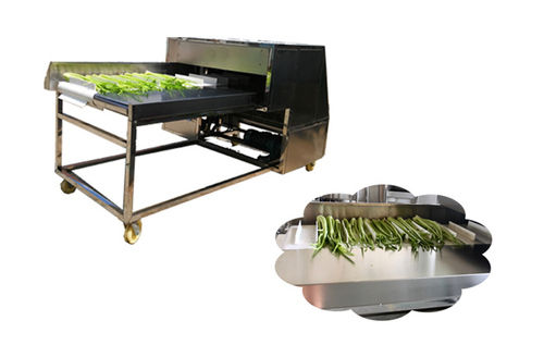 Commercial Celery Cutting Machine