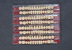 Cross Linked Acrylic Teeth