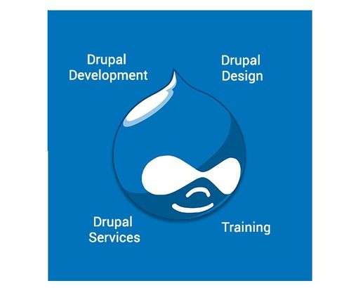 Drupal Development Service