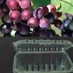 Grape Punnets