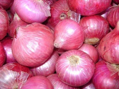 Red Onion