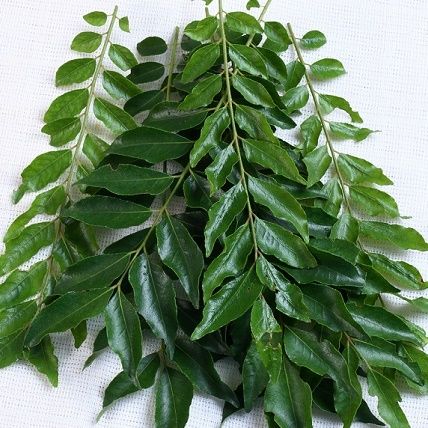 Curry Leaves (Kari Patta)