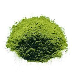 Wheat Grass Powder