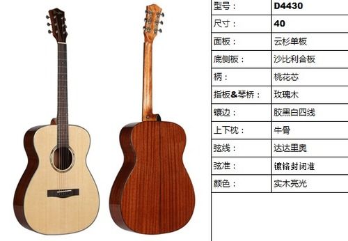 Acoustic Guitar (D4430)