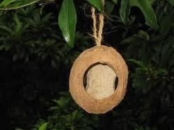 Coconut Shell Bird Nest