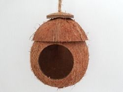 Coconut Shell With Cap
