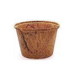 Coir Pot