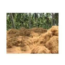 Organic Coconut Coir