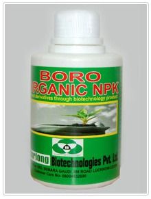 Boro Organic Npk