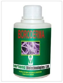 Boroderma