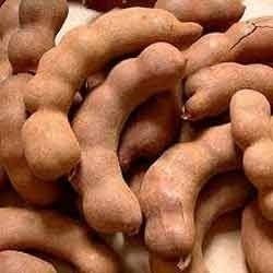 Indian Tamarind - Rich Flavor Profile, Natural Nutritional Benefits, Pure and High-Quality Sourcing